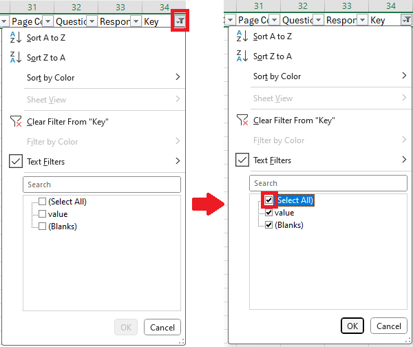 Screenshot of the Filter menu in Excel with the Select All box ticked