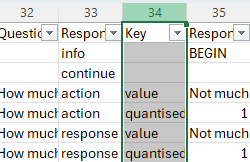 Screenshot of data in Excel with the Key column selected