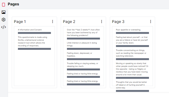 Example of a sequence of questionnaire pages showing one instruction page and two pages of questions