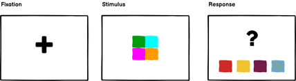 Schematic example of three screens in sequence in a display: Fixation, Stimulus, Response